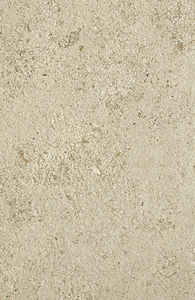 outdoor tile / wall / for floors / limestone