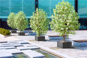 concrete planter / rectangular / square / contemporary