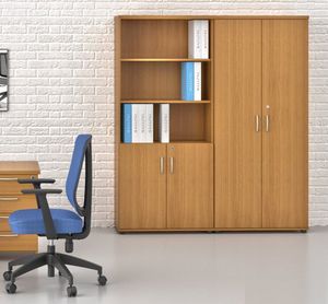 low filing cabinet / tall / wooden / with hinged door