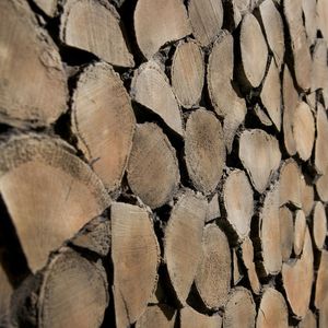 home wallcovering / commercial / textured / embossed
