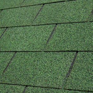 roof shingle
