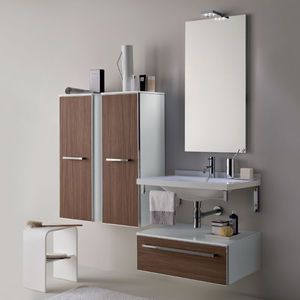 bathroom base cabinet / wall-mounted