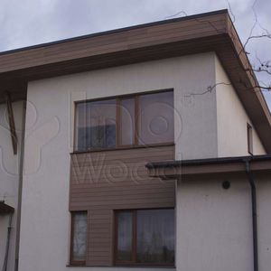 WPC cladding / brushed / strip / wood look