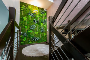 stabilized green wall / indoor