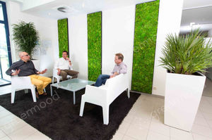 preserved green wall / indoor