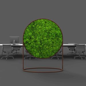 preserved living frame / moss / foliage / in lichen