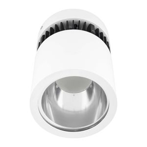surface mounted downlight / LED / round / steel