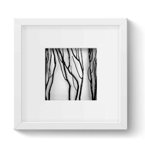 frame