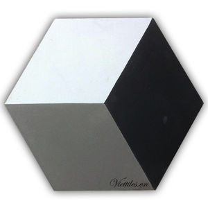 indoor encaustic cement tile / floor / wall / geometric pattern