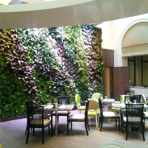 indoor green wall / acoustic