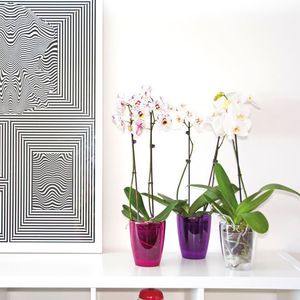 polystyrene garden pot / polypropylene / free-standing / round