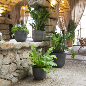 polypropylene garden pot / round