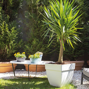 polypropylene planter / square / contemporary