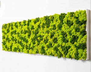 preserved living frame / moss / natural / indoor