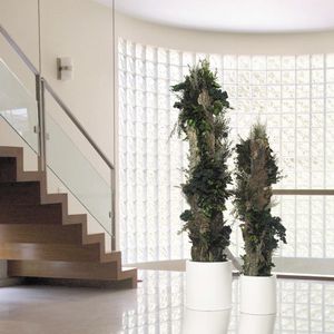 preserved ornamental-plant / totem