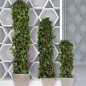 preserved ornamental-plant / totem