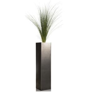 preserved ornamental-plant / small plants