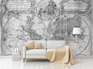 traditional wallpaper / map / printed