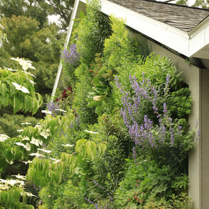 vertical garden with live plants / indoor / outdoor