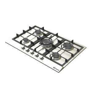 gas cooktop / cast iron / wok