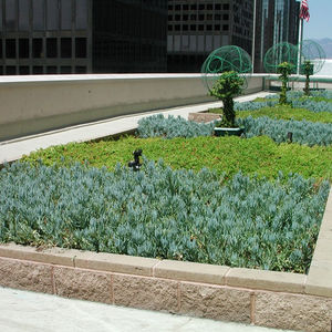 semi-intensive green roof system