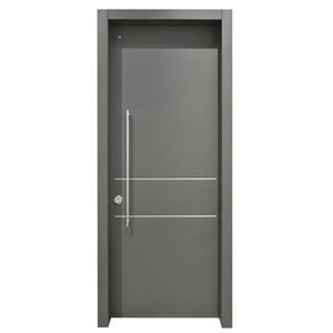 entry door / swing / galvanized steel / security