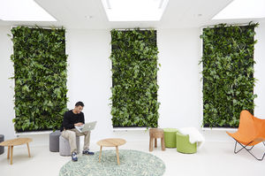 preserved green wall / with live plants / modular-panel / natural