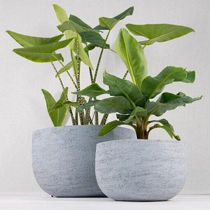 terracotta garden pot / free-standing / round