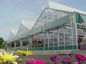 commercial greenhouse / ornamentals production / even-span / multi span