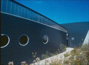 profiled metal panel / galvanized steel / for facades / for roofs