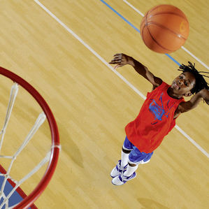 vinyl sports flooring / for indoor use / for multipurpose gyms