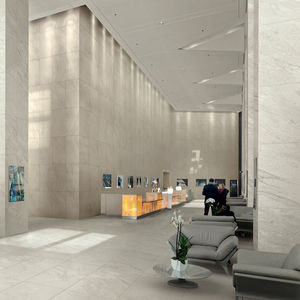 indoor tile / wall / floor / porcelain stoneware
