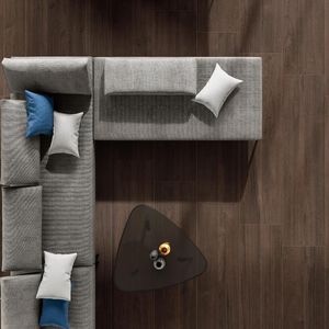 indoor tile / wall / floor / porcelain stoneware