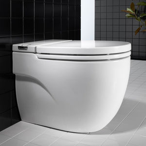 free-standing toilet / porcelain