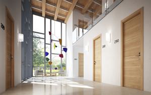 indoor door / swing / wooden / fire-rated