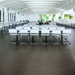linoleum flooring / commercial / roll / matte