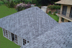 roof shingle