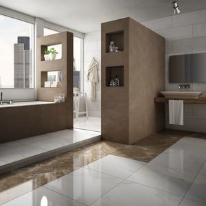 indoor tile / wall / floor / porcelain stoneware