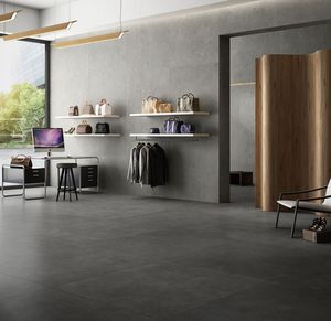 indoor tile / wall / floor / porcelain stoneware