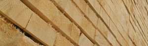 construction plywood panel / for interior
