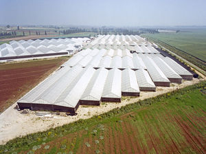 polycarbonate roofing sheet / translucent / corrugated