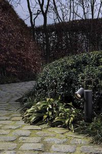 garden bollard light / contemporary / metal / LED