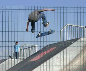 wire landscaping mesh / galvanized steel
