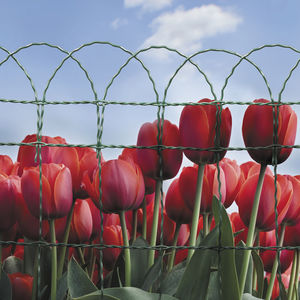 fencing welded wire mesh