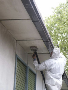 liquid waterproofing membrane / for roofs / elastomeric / protection