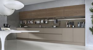 contemporary kitchen / glass / wood veneer / handleless