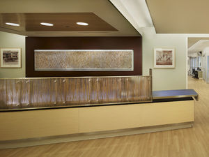 resin decorative panel / for partition walls / GreenGuard® certification / with natural plant filler