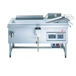 electric fryer / professional