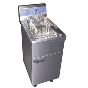 electric fryer / professional