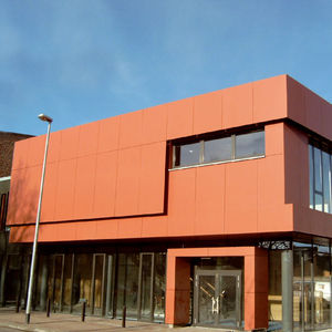 composite cladding / matte / panel / self-supporting